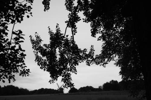 Architektur 13